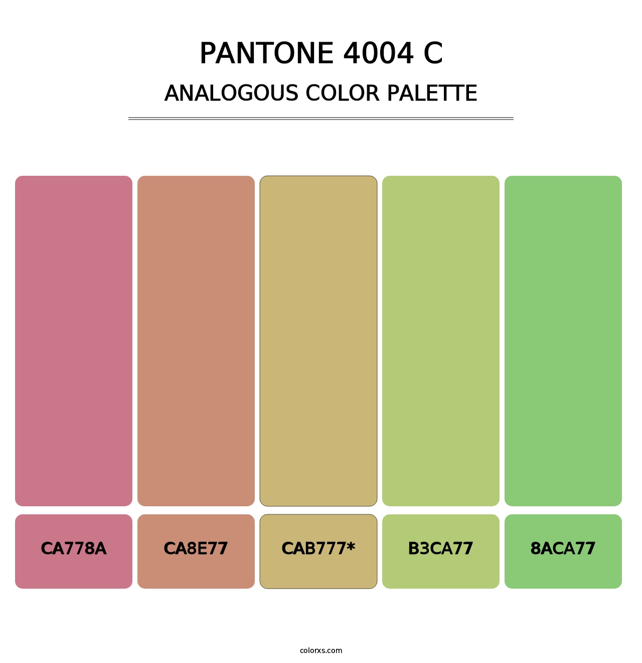 PANTONE 4004 C - Analogous Color Palette