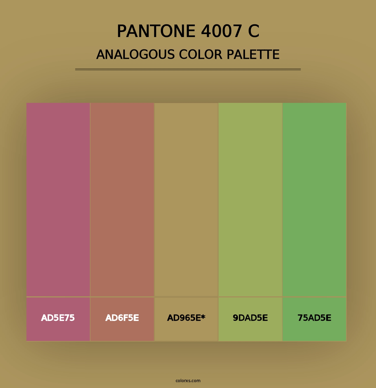 PANTONE 4007 C - Analogous Color Palette