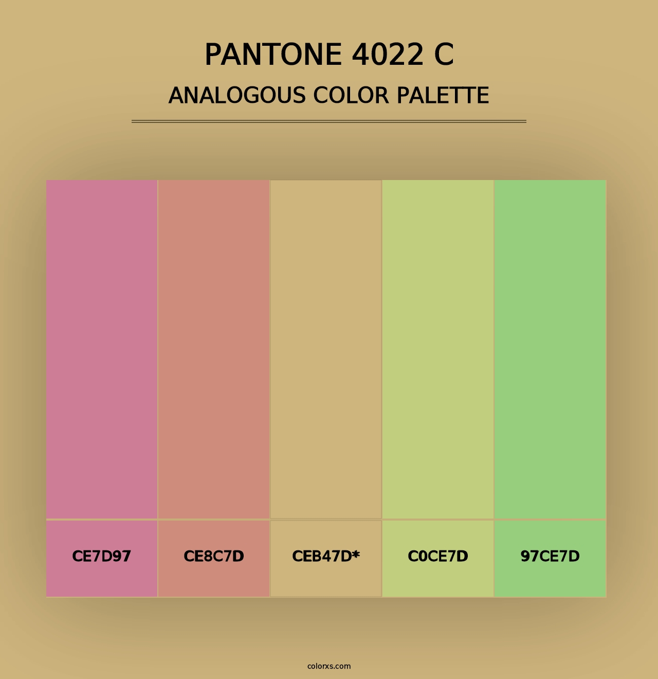 PANTONE 4022 C - Analogous Color Palette