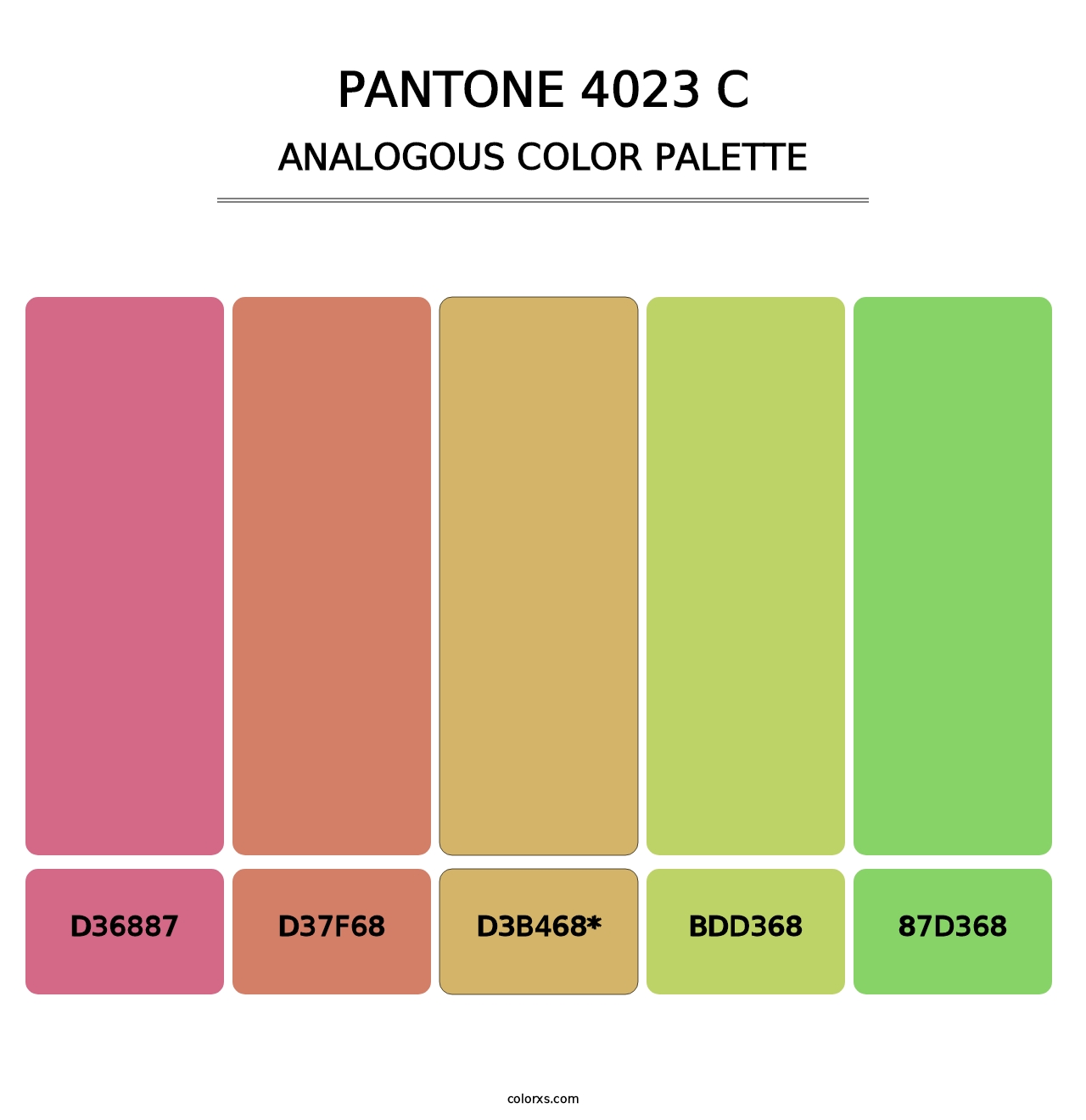 PANTONE 4023 C - Analogous Color Palette