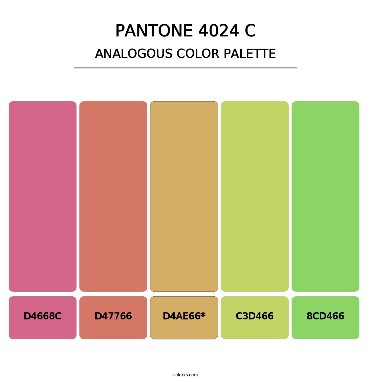 PANTONE 4024 C - Analogous Color Palette