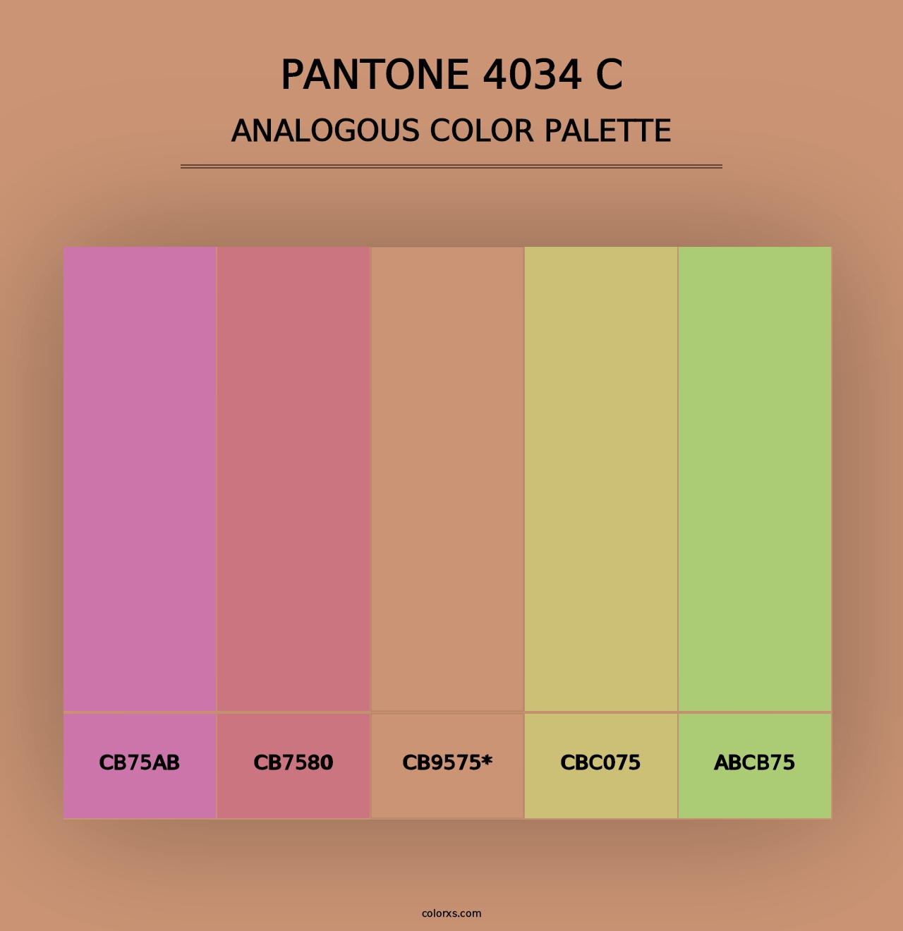 PANTONE 4034 C - Analogous Color Palette