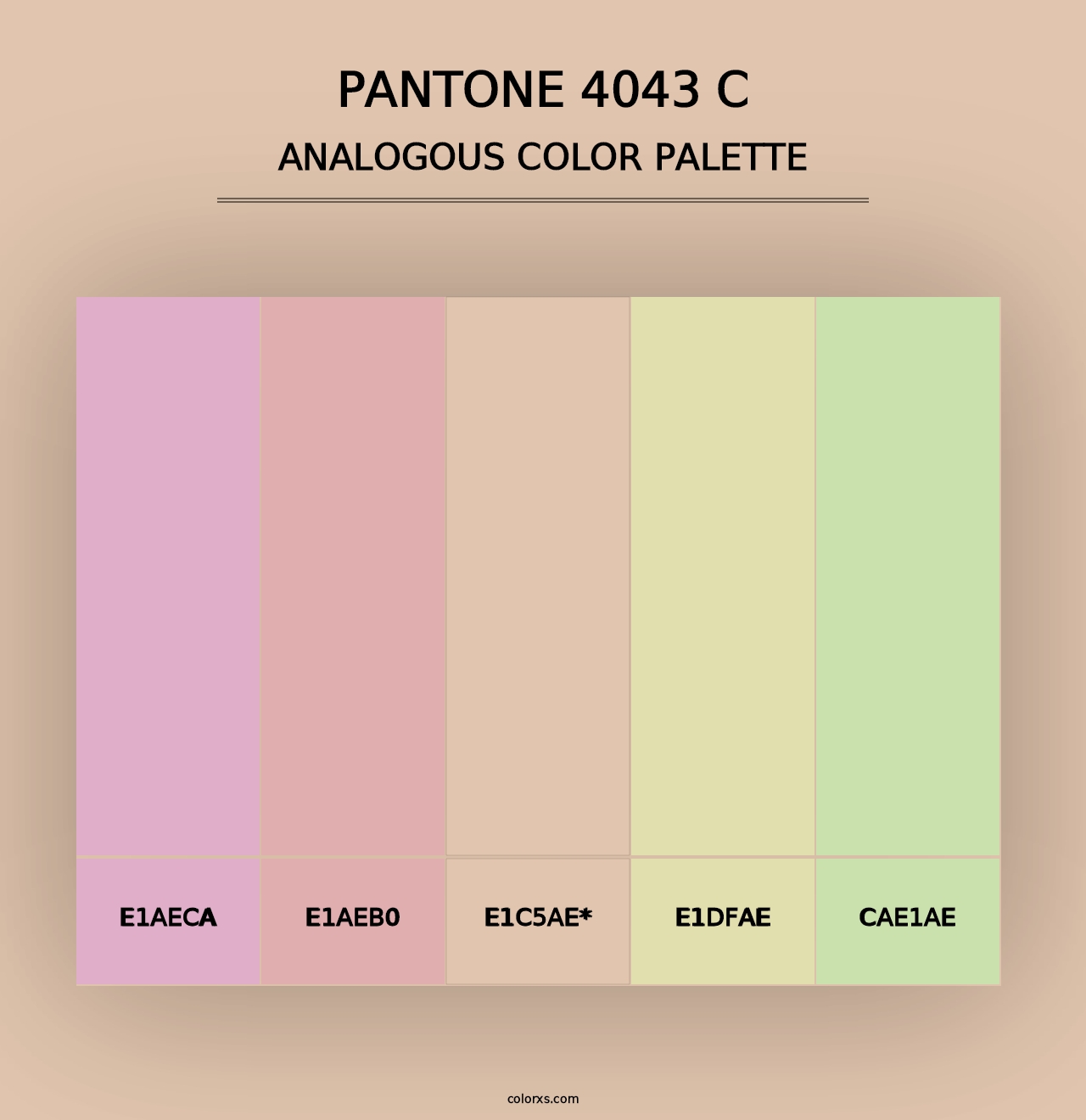 PANTONE 4043 C - Analogous Color Palette