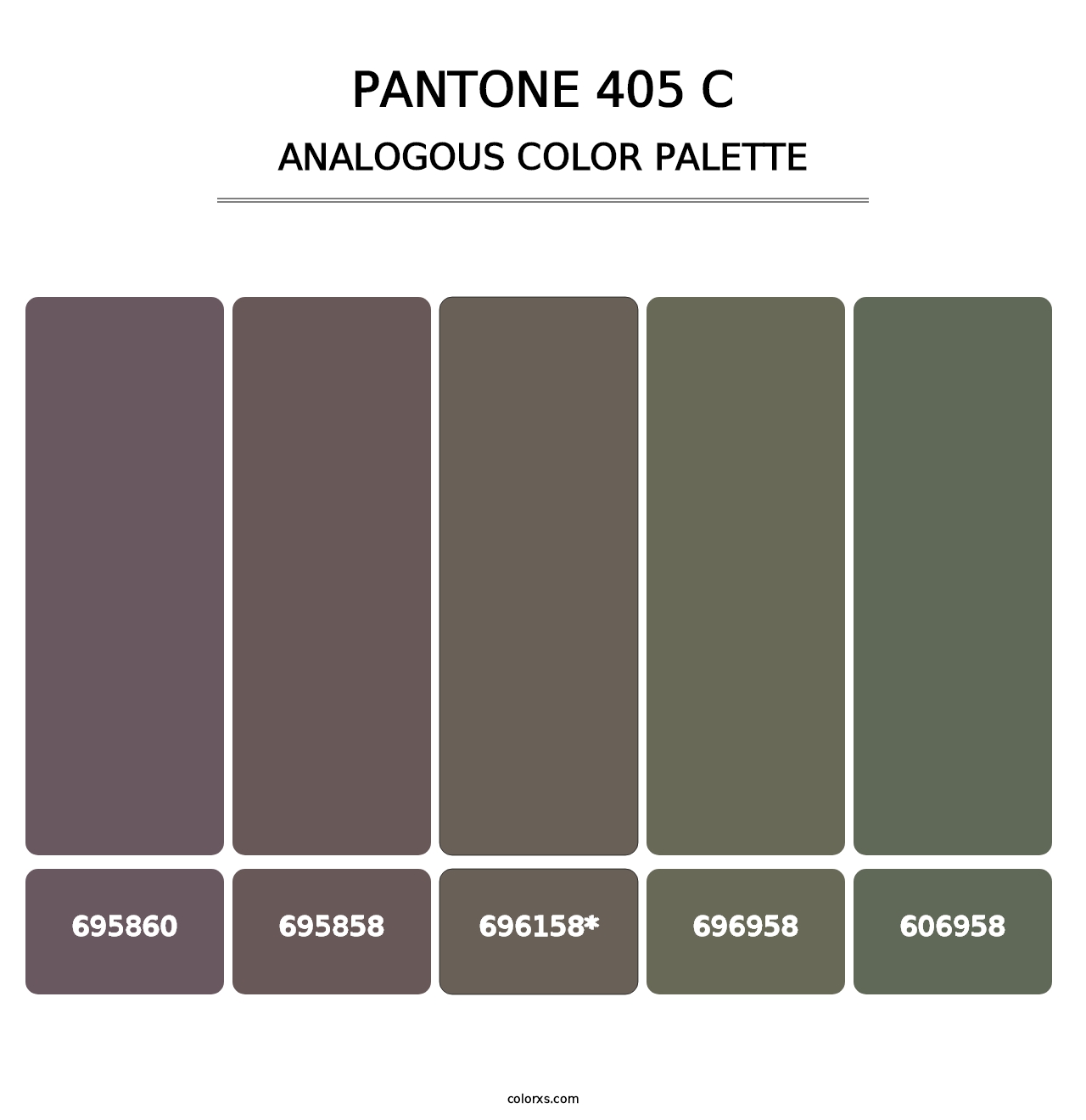 PANTONE 405 C - Analogous Color Palette