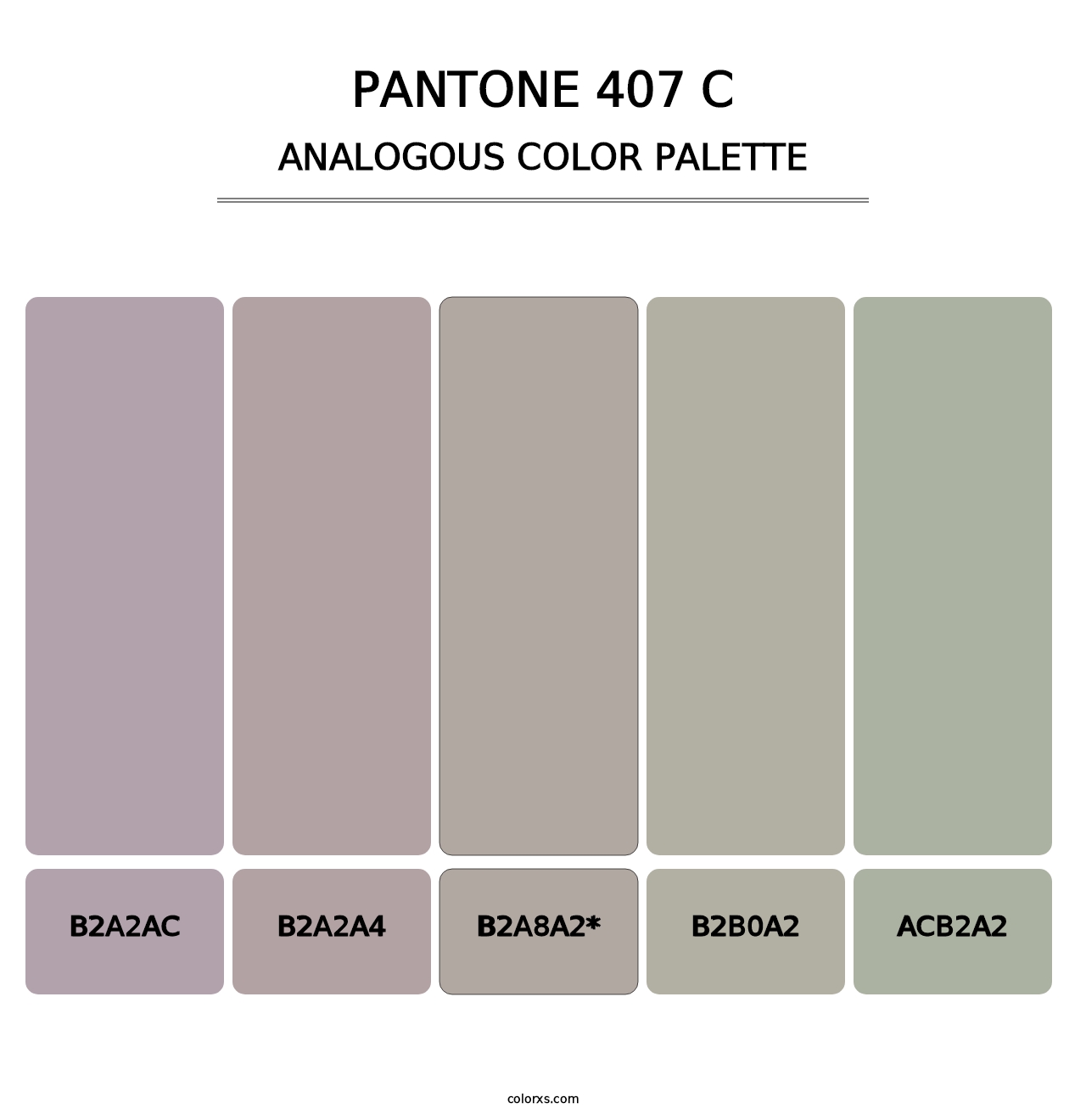 PANTONE 407 C - Analogous Color Palette