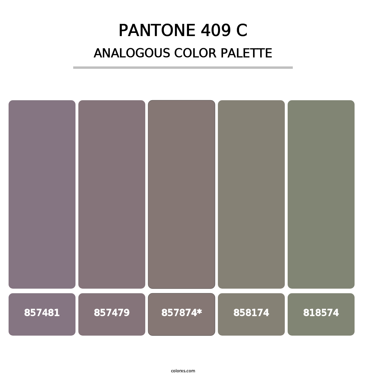 PANTONE 409 C - Analogous Color Palette