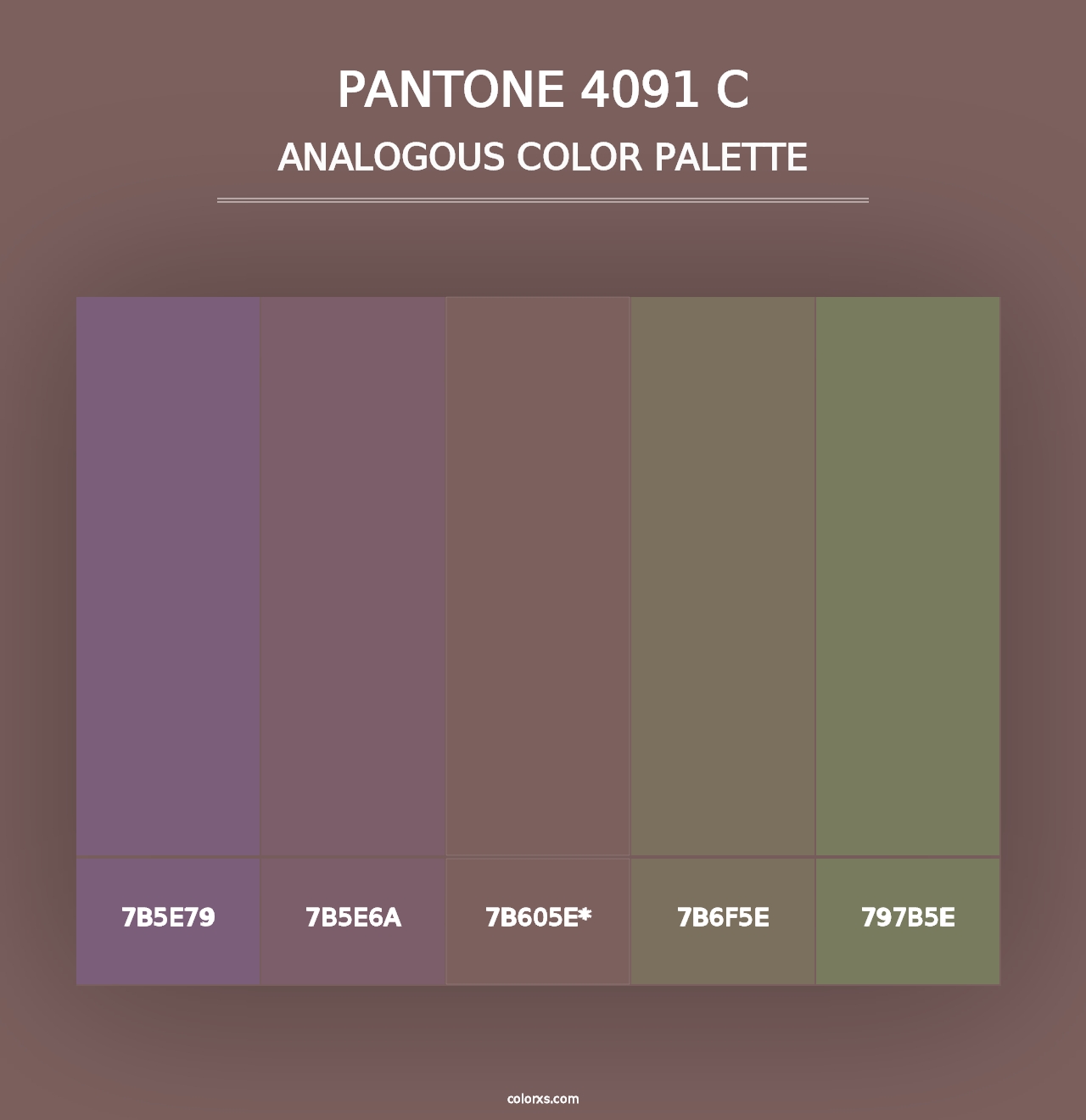 PANTONE 4091 C - Analogous Color Palette