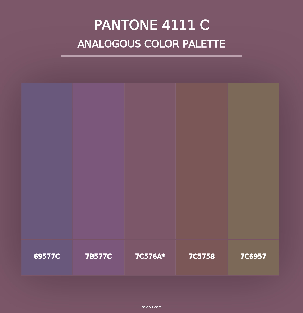 PANTONE 4111 C - Analogous Color Palette