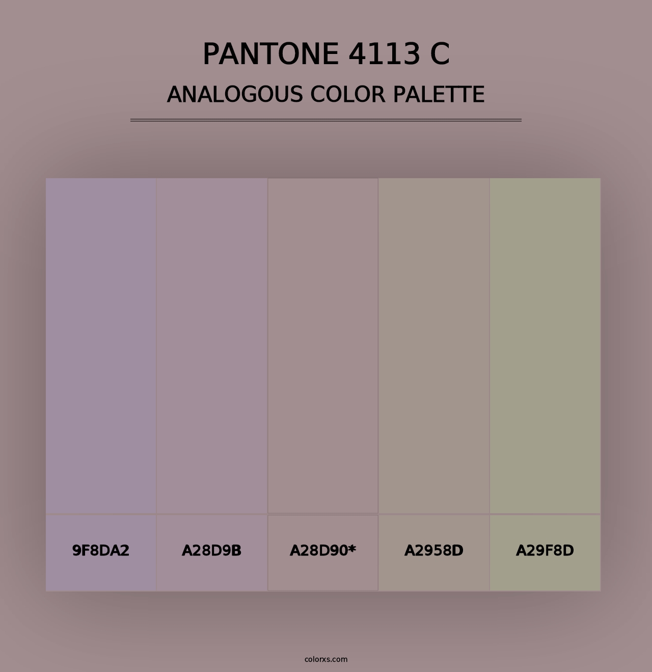 PANTONE 4113 C - Analogous Color Palette