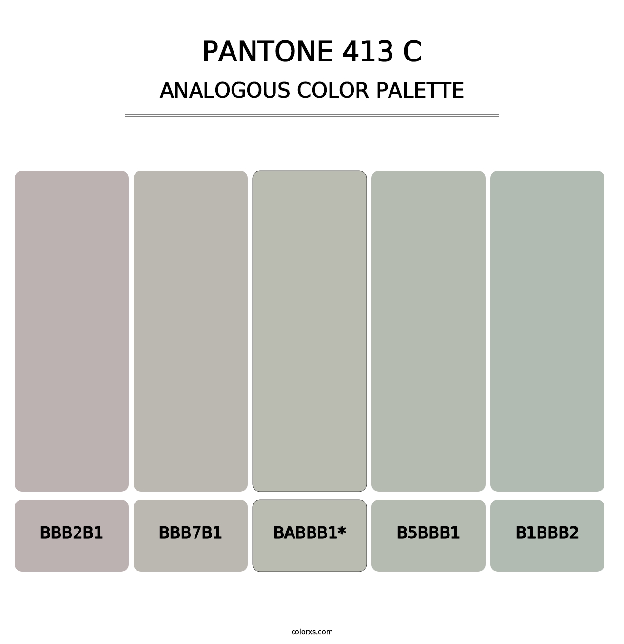 PANTONE 413 C - Analogous Color Palette