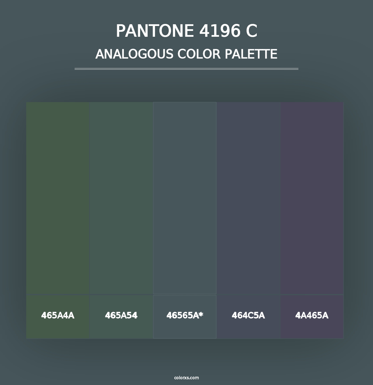 PANTONE 4196 C - Analogous Color Palette