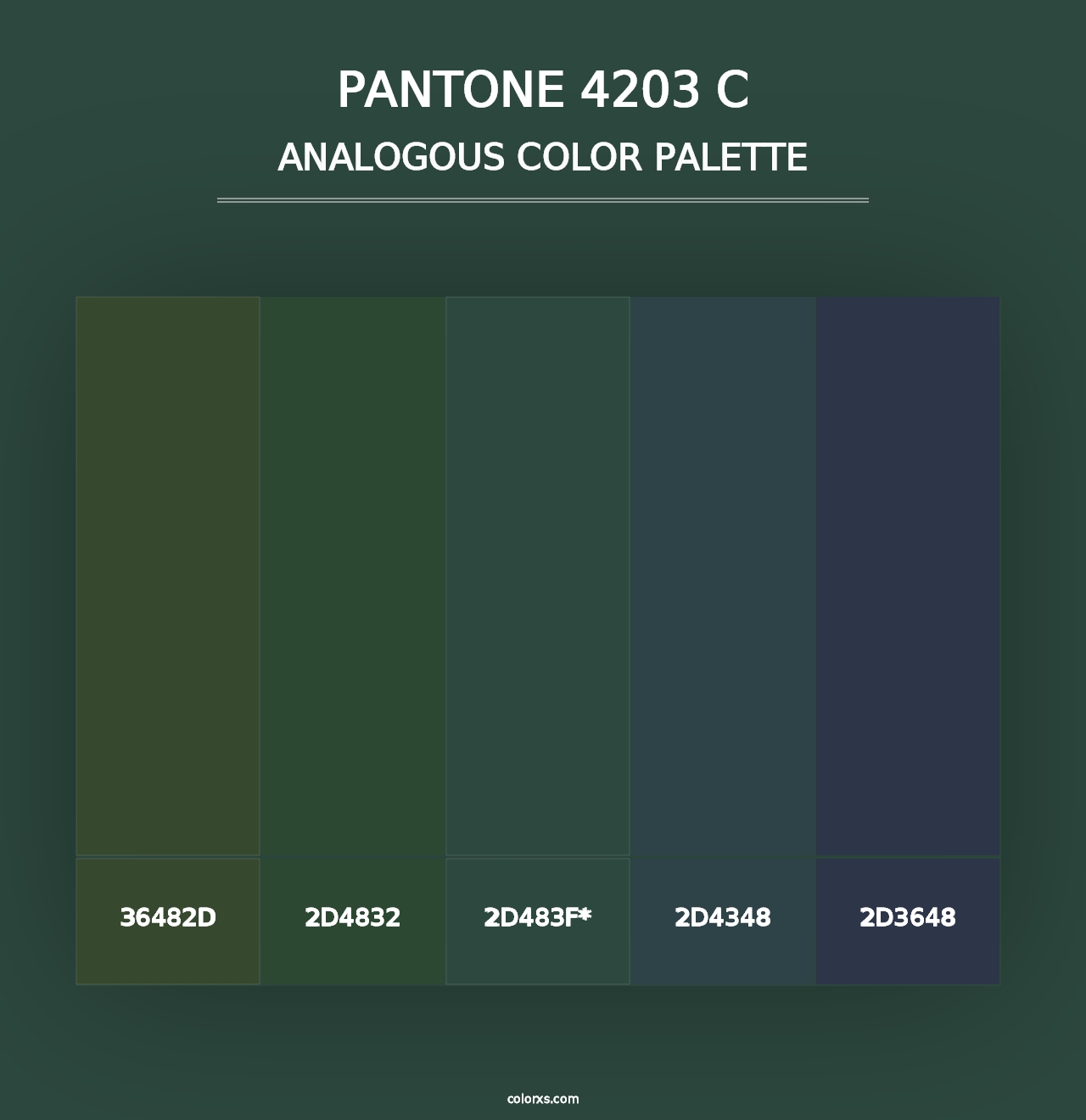 PANTONE 4203 C - Analogous Color Palette