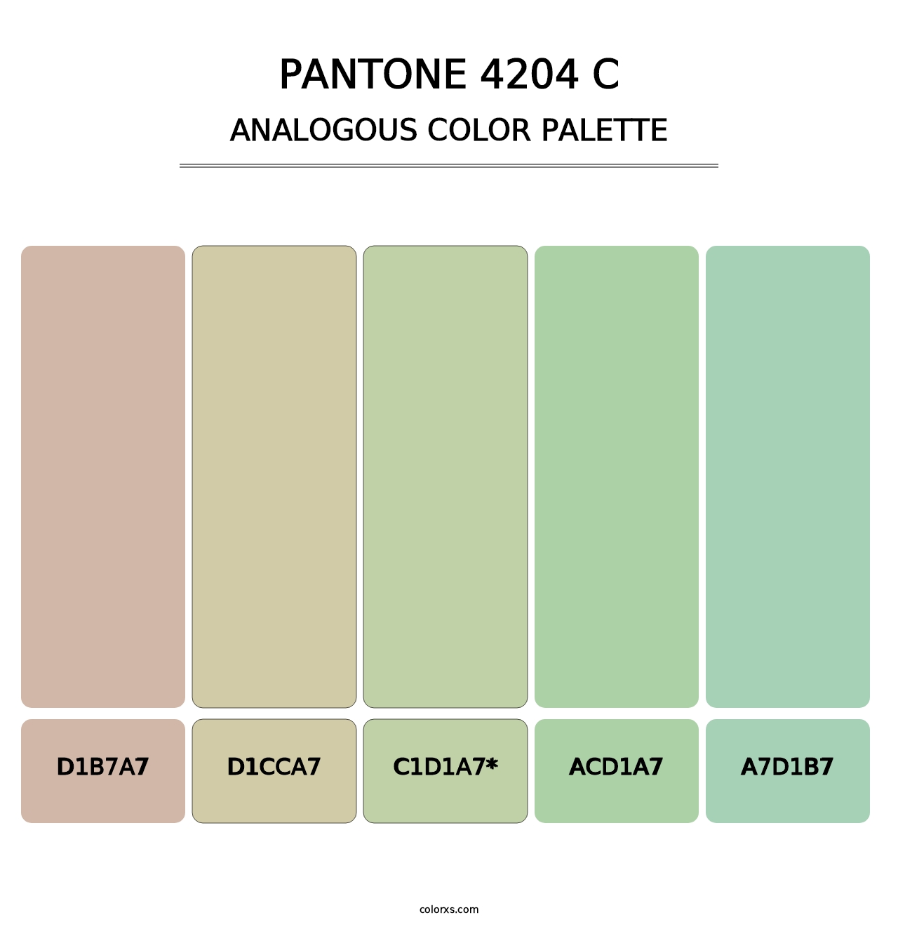 PANTONE 4204 C - Analogous Color Palette