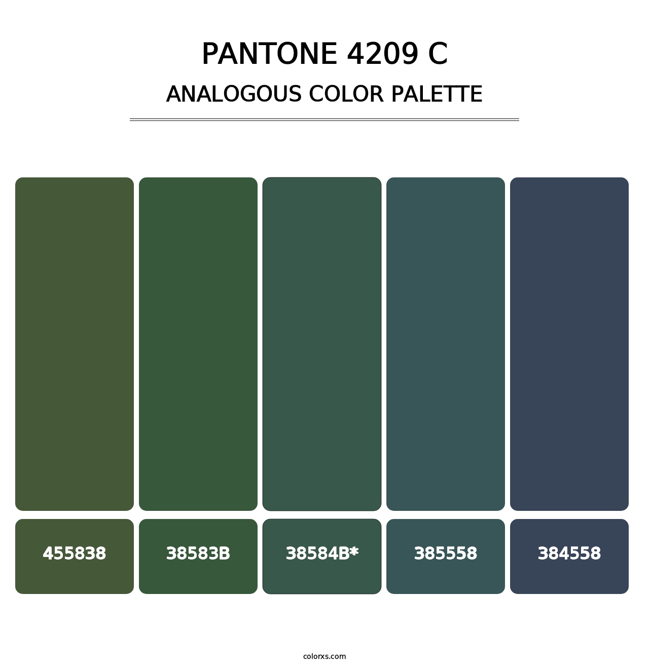 PANTONE 4209 C - Analogous Color Palette