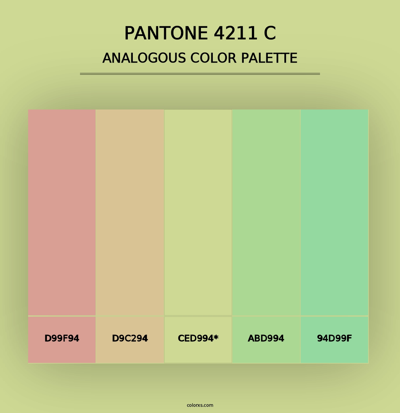 PANTONE 4211 C - Analogous Color Palette