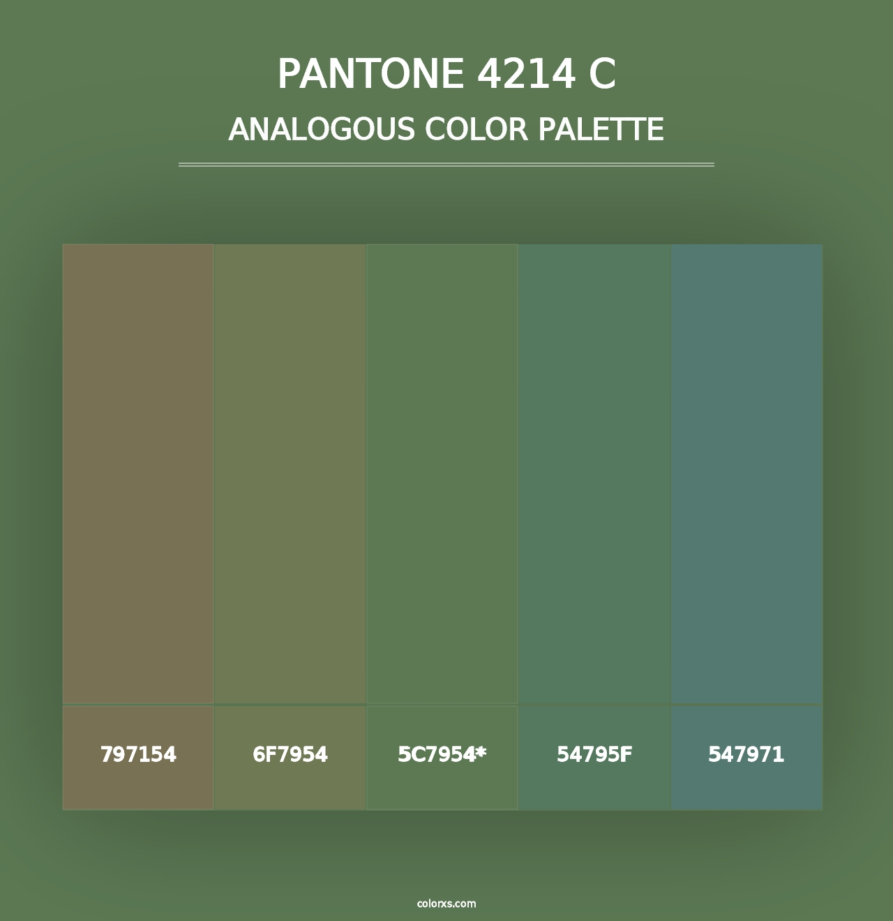 PANTONE 4214 C - Analogous Color Palette