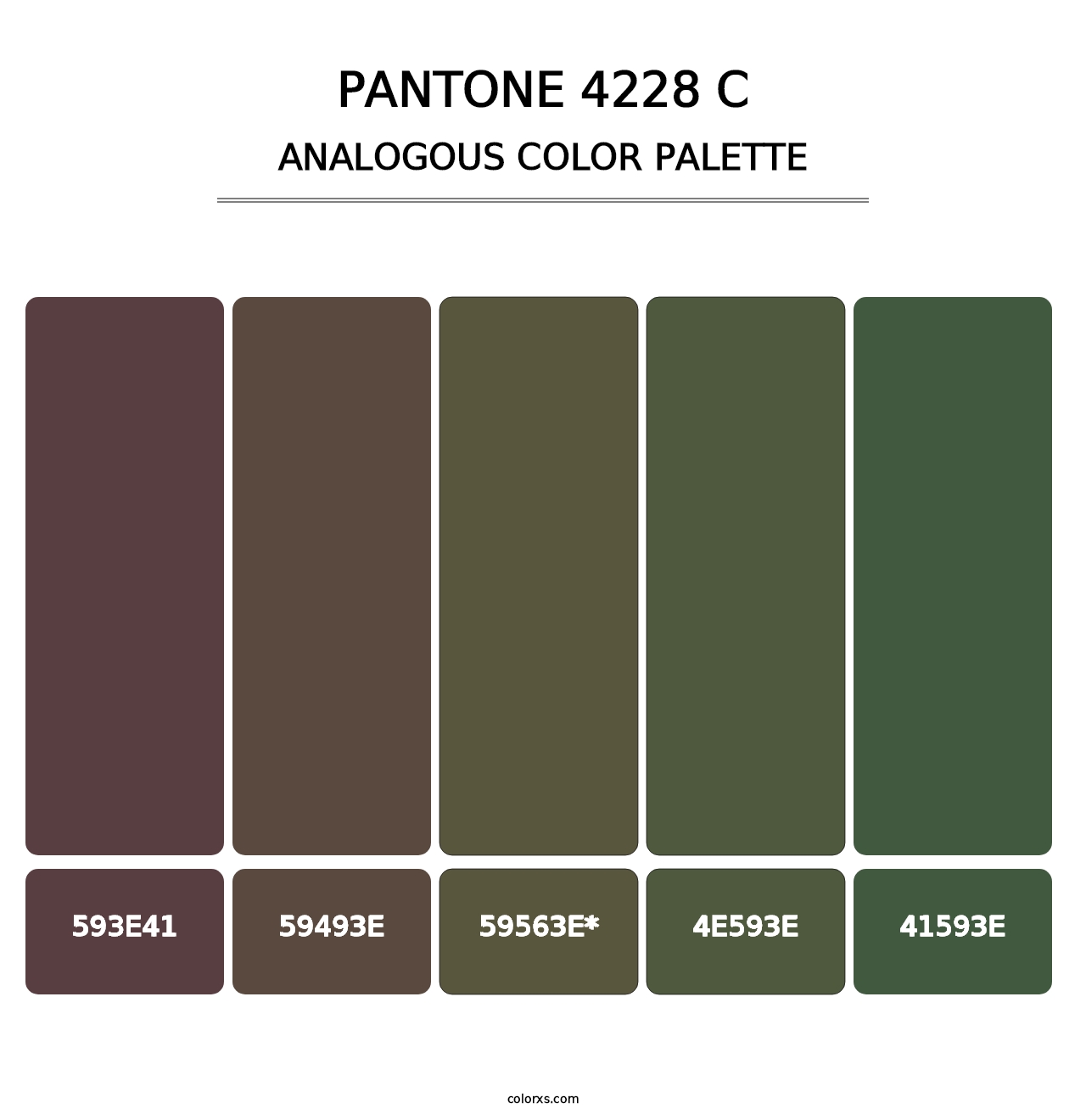 PANTONE 4228 C - Analogous Color Palette