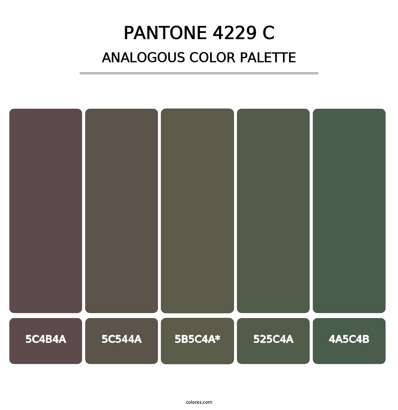 PANTONE 4229 C - Analogous Color Palette