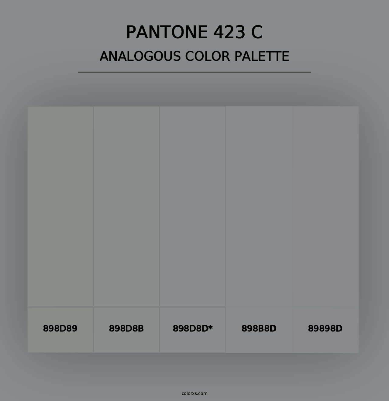 PANTONE 423 C - Analogous Color Palette