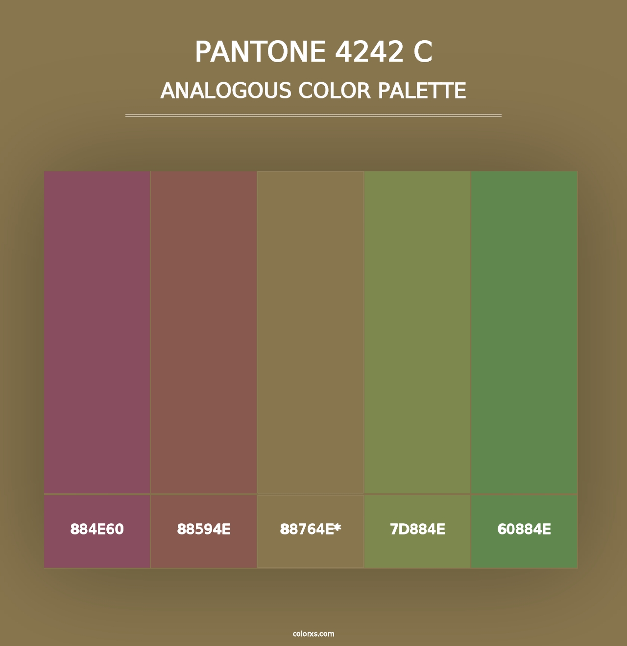 PANTONE 4242 C - Analogous Color Palette