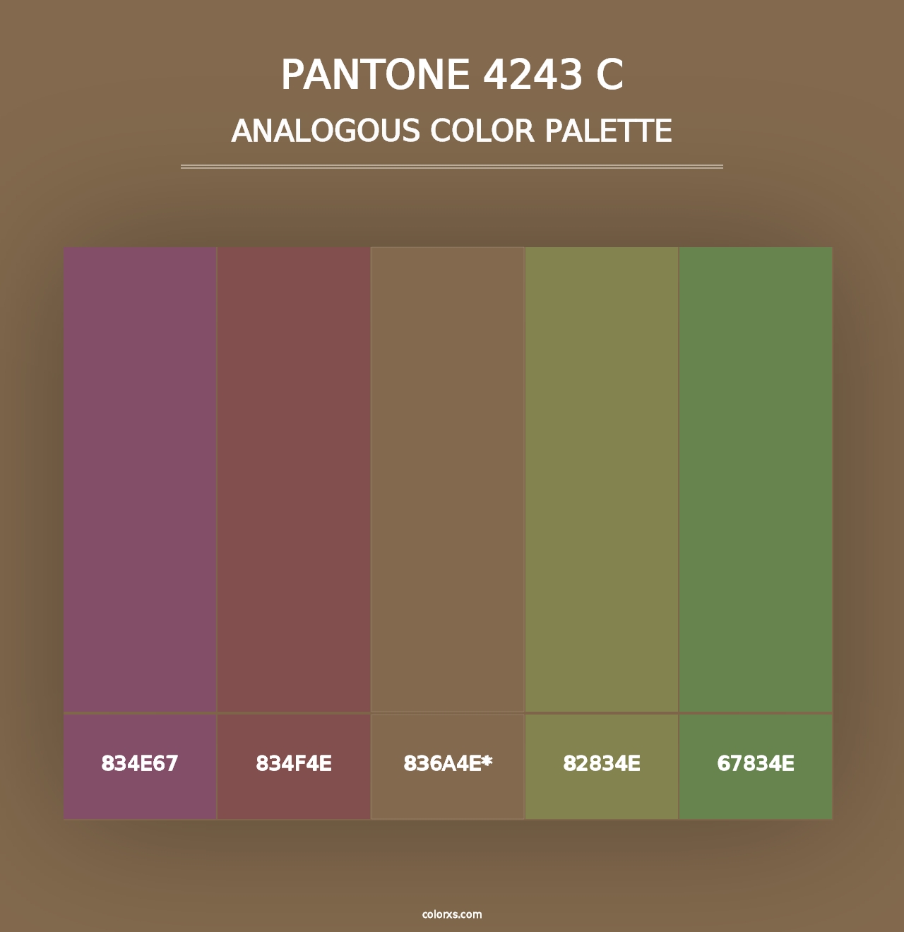 PANTONE 4243 C - Analogous Color Palette