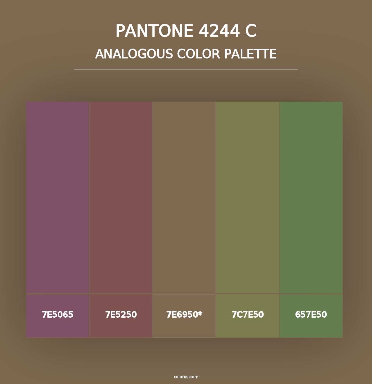 PANTONE 4244 C - Analogous Color Palette