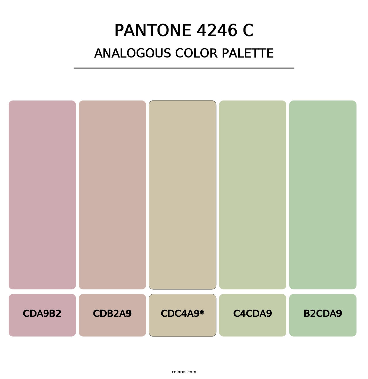 PANTONE 4246 C - Analogous Color Palette