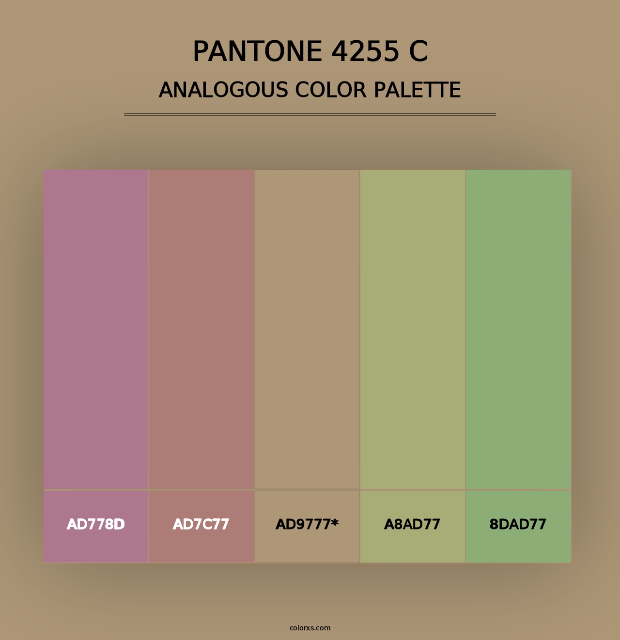 PANTONE 4255 C - Analogous Color Palette