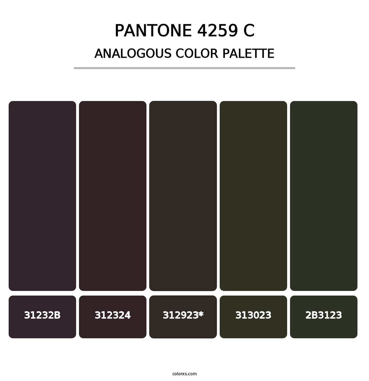 PANTONE 4259 C - Analogous Color Palette