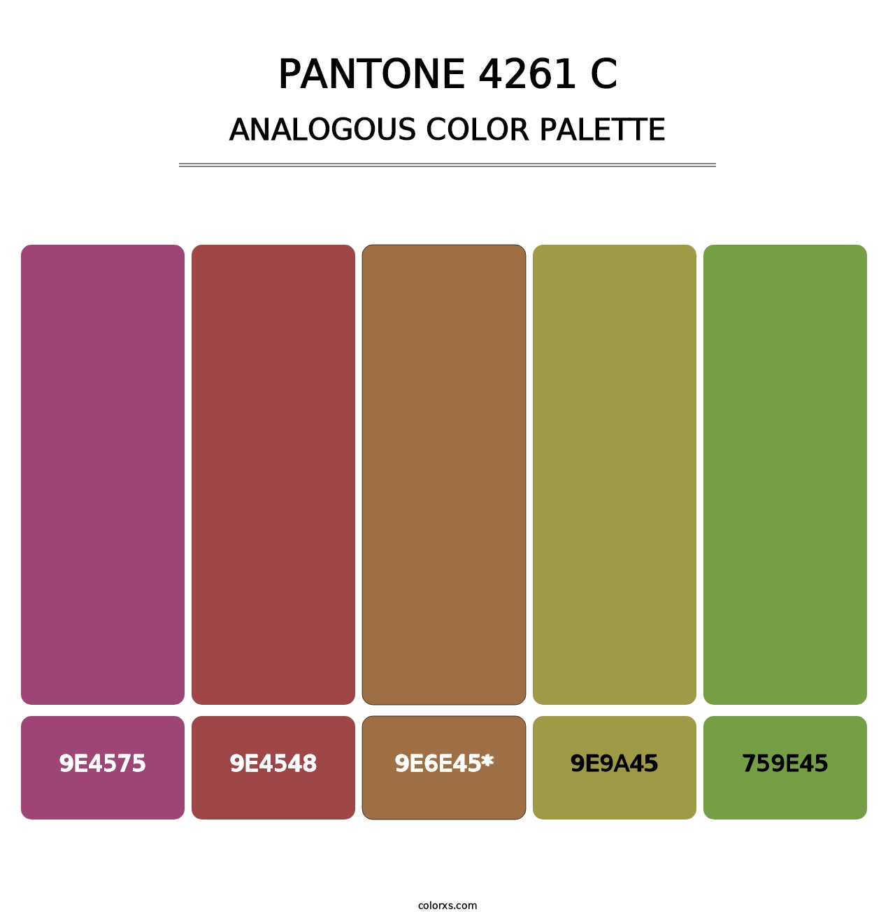 PANTONE 4261 C - Analogous Color Palette