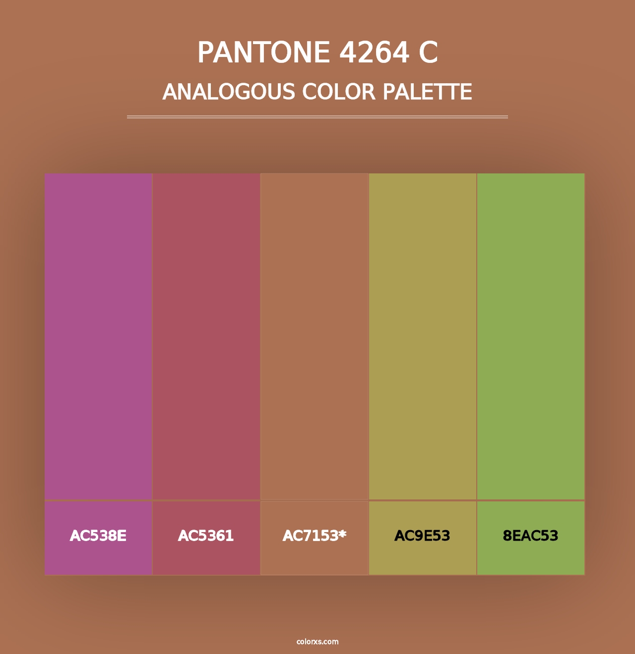 PANTONE 4264 C - Analogous Color Palette