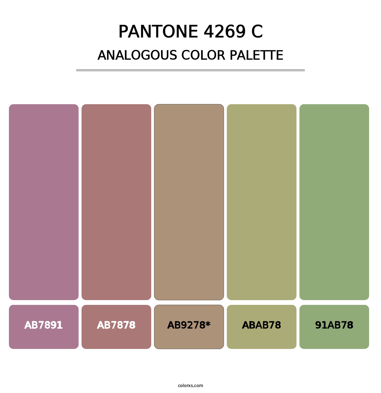 PANTONE 4269 C - Analogous Color Palette