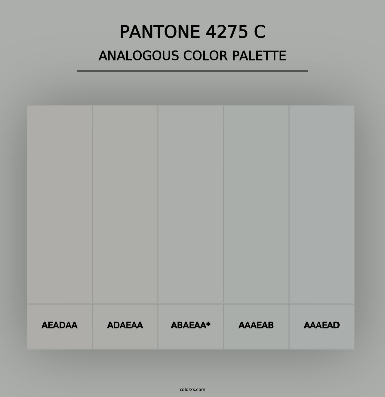 PANTONE 4275 C - Analogous Color Palette