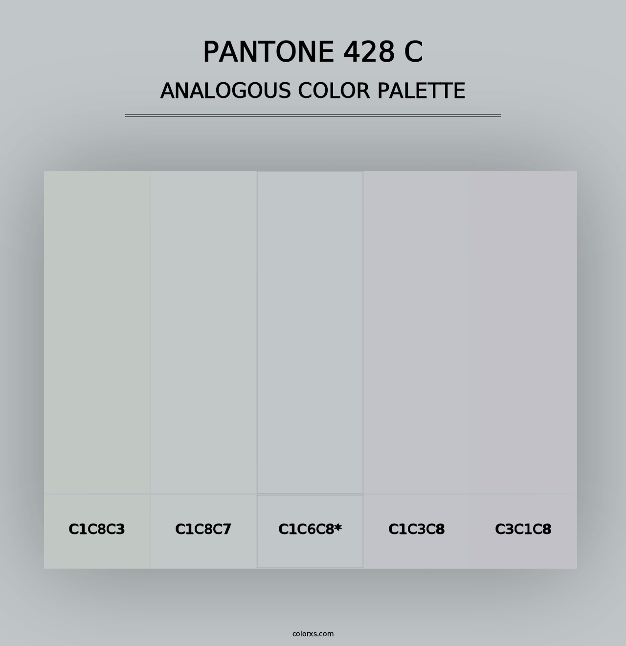 PANTONE 428 C - Analogous Color Palette