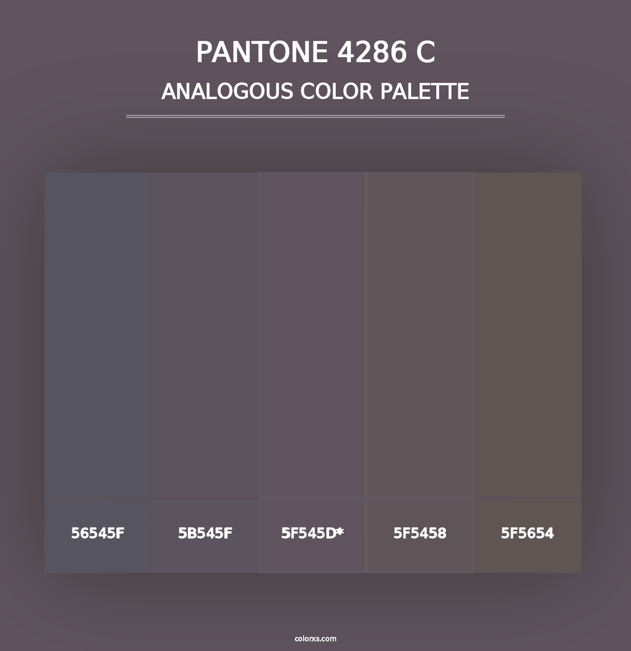 PANTONE 4286 C - Analogous Color Palette