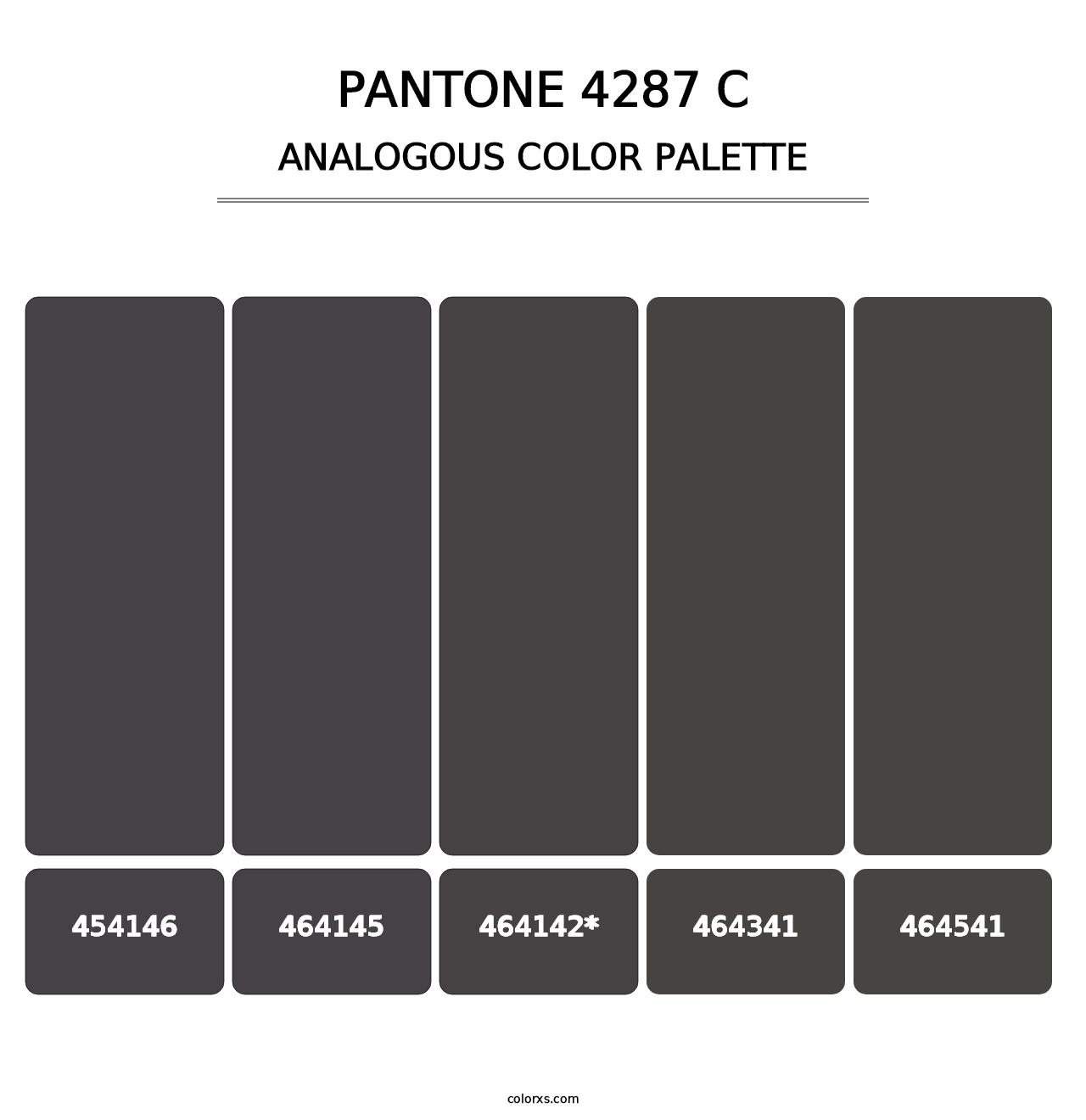 PANTONE 4287 C - Analogous Color Palette