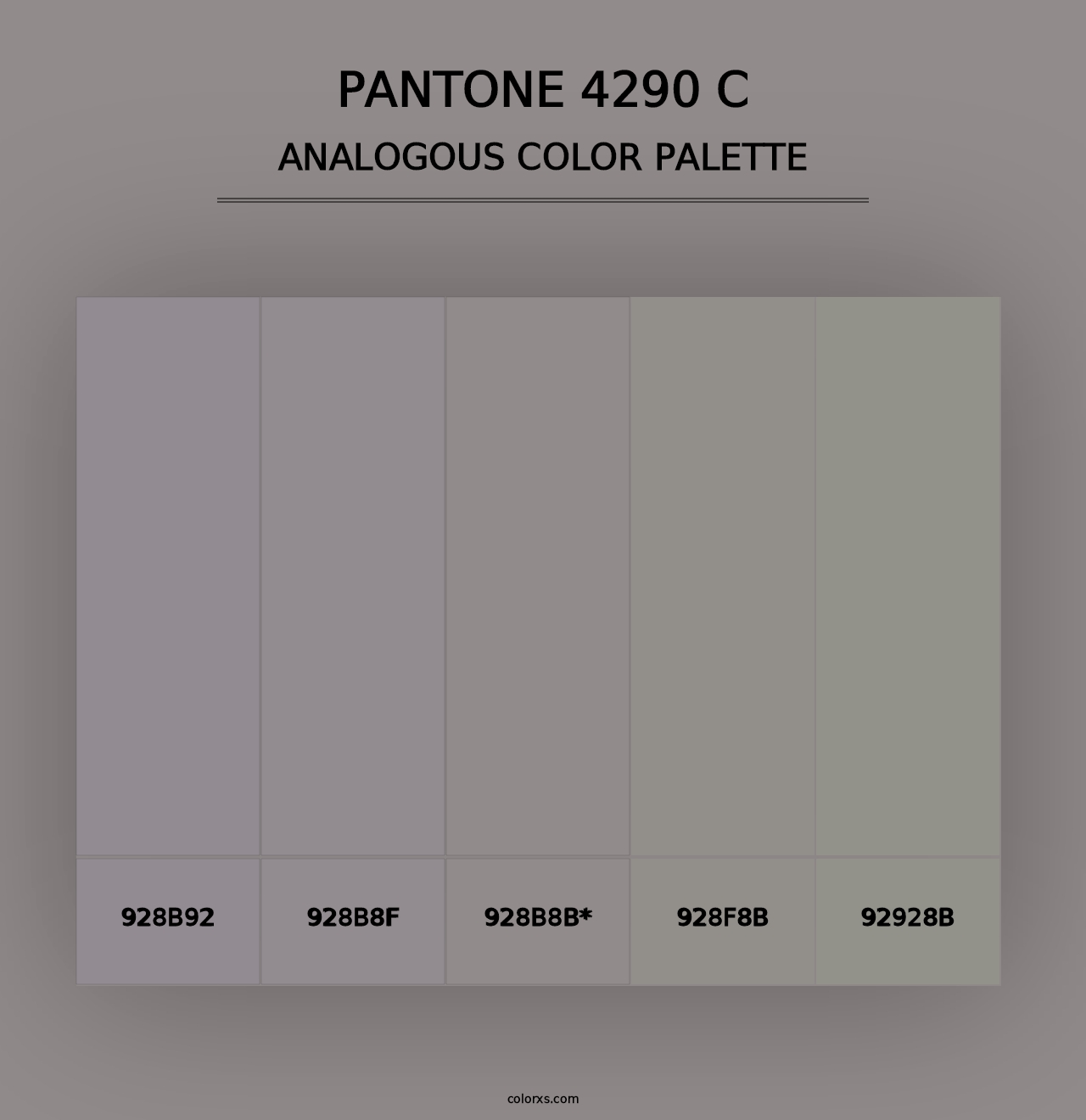 PANTONE 4290 C - Analogous Color Palette