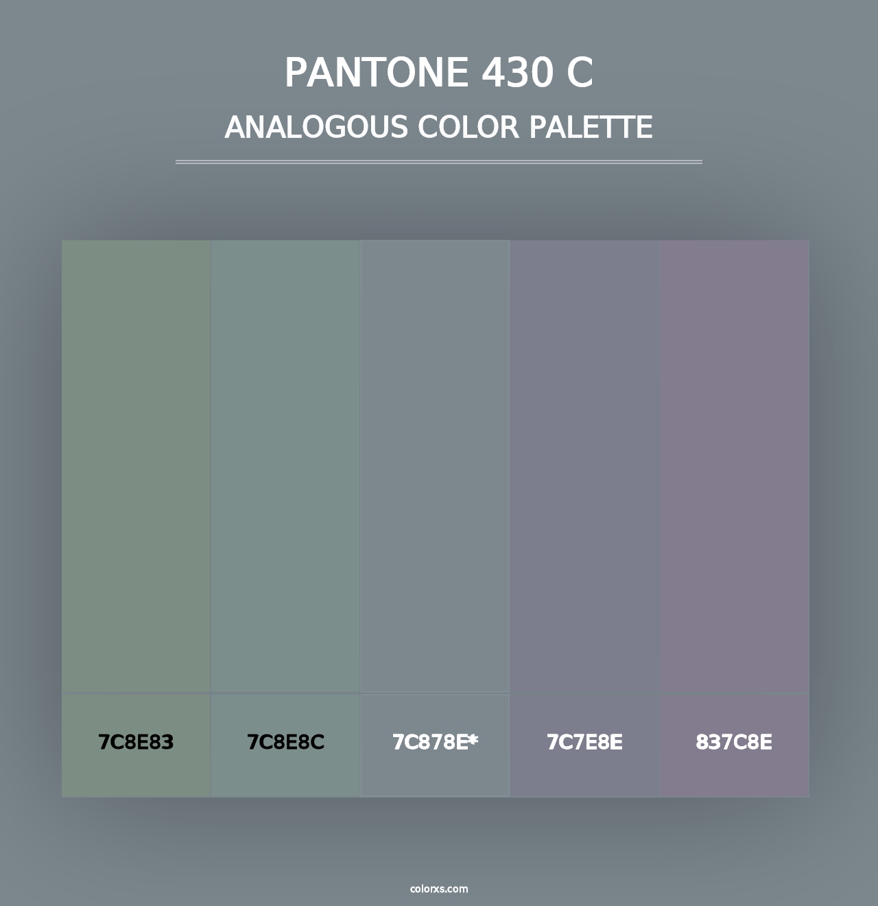 PANTONE 430 C - Analogous Color Palette