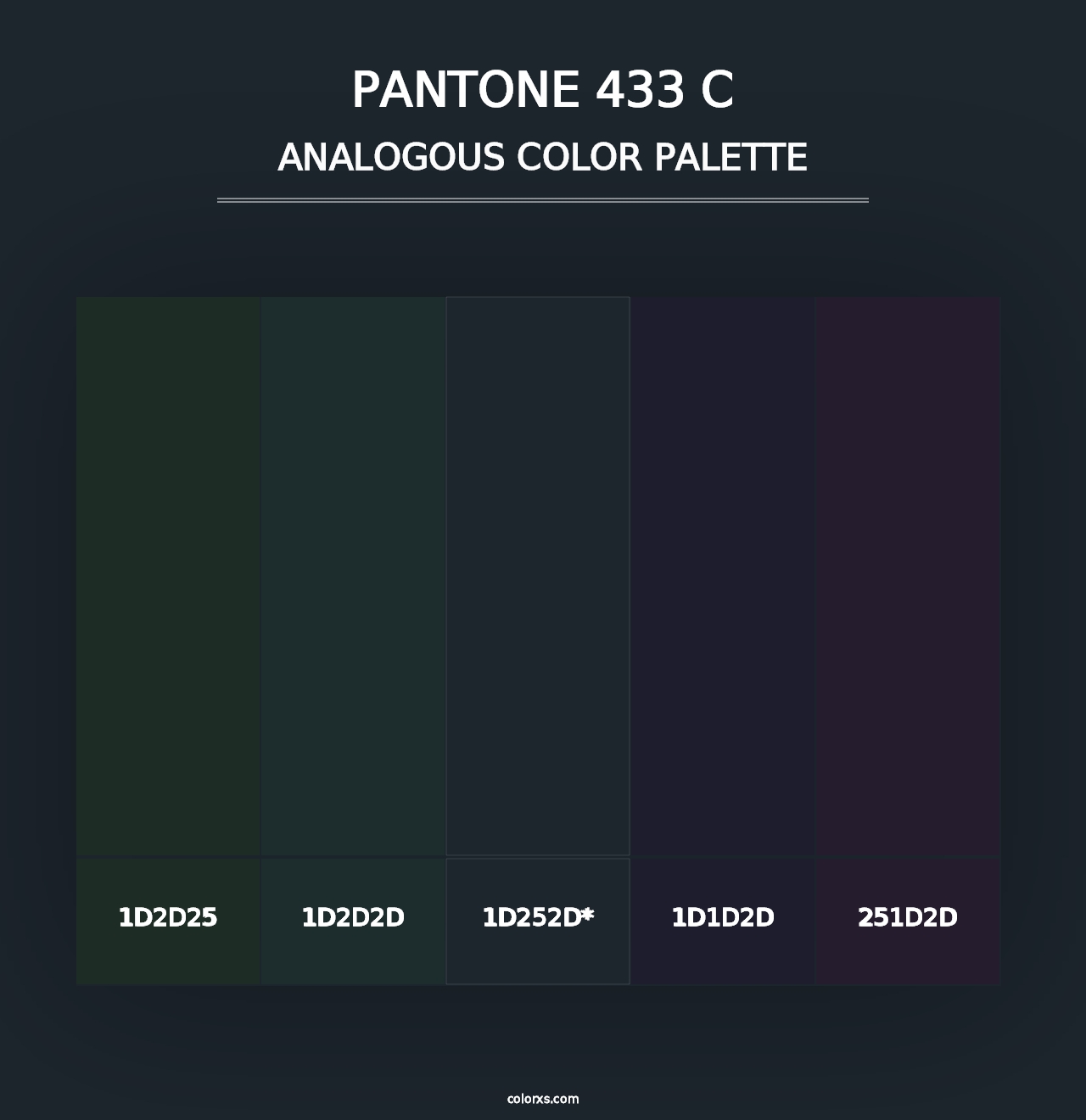 PANTONE 433 C - Analogous Color Palette