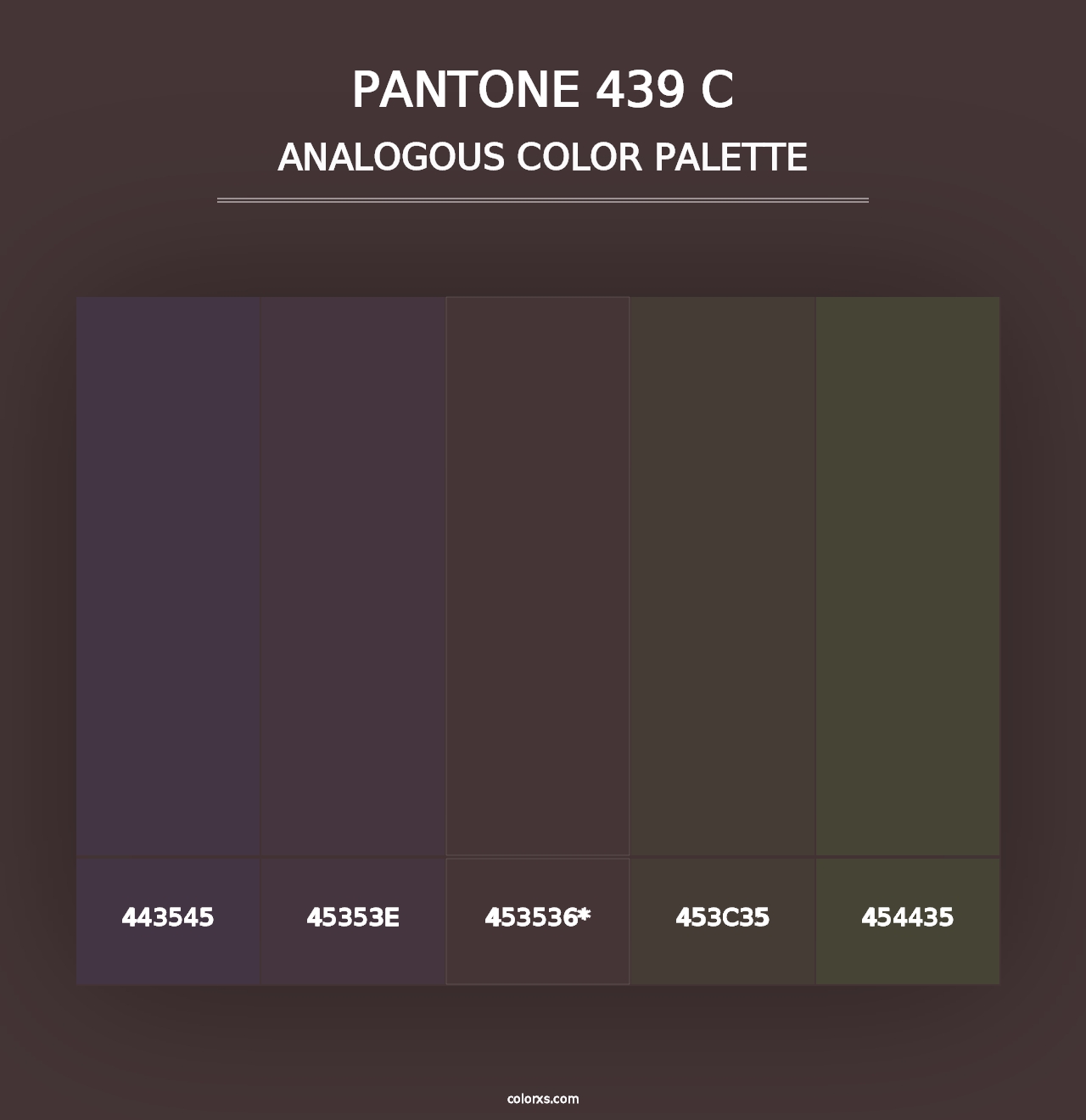 PANTONE 439 C - Analogous Color Palette