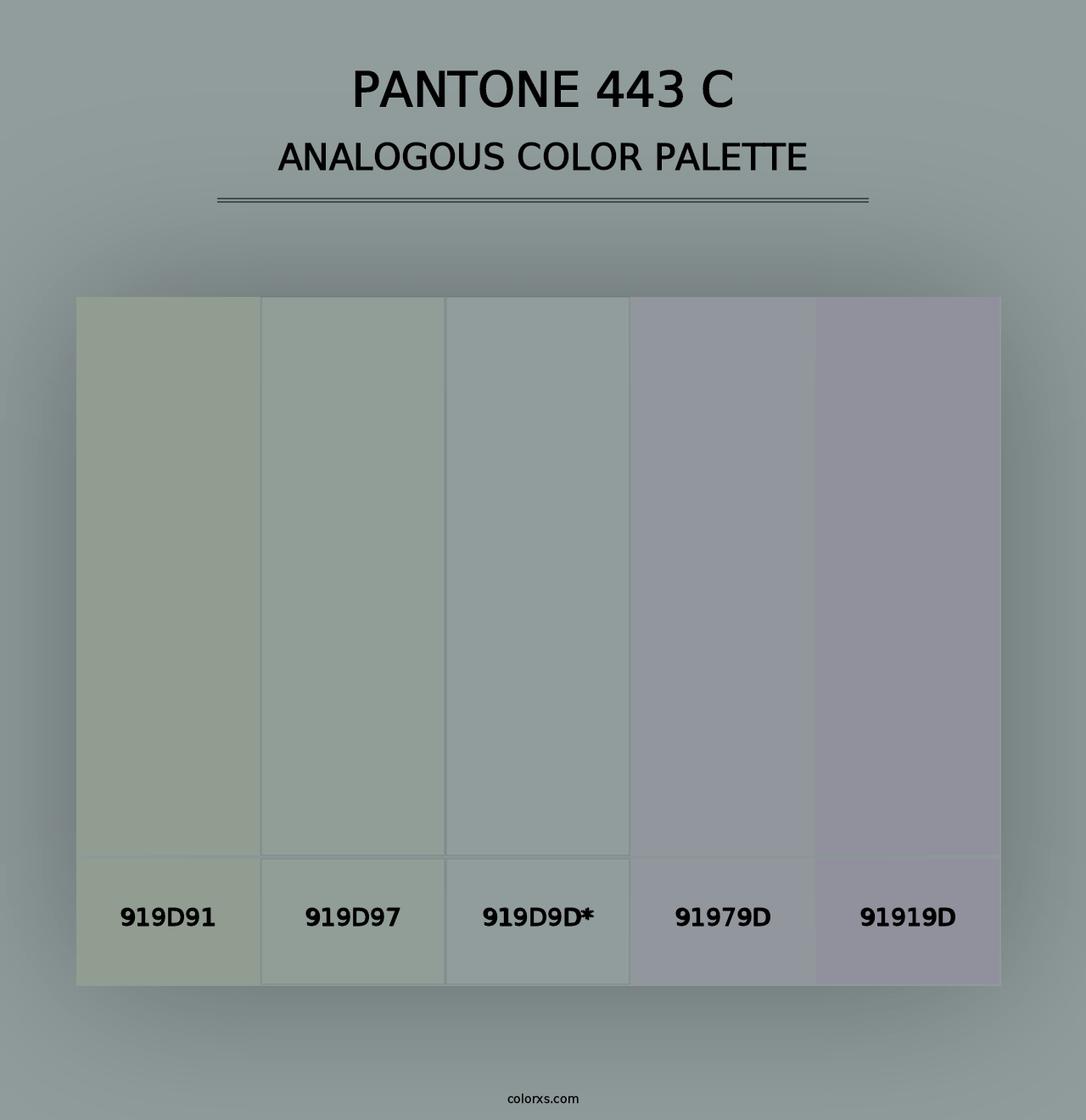 PANTONE 443 C - Analogous Color Palette