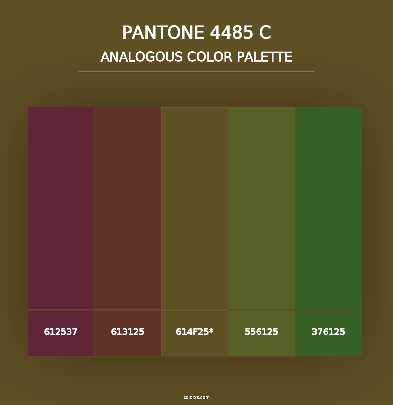 PANTONE 4485 C - Analogous Color Palette