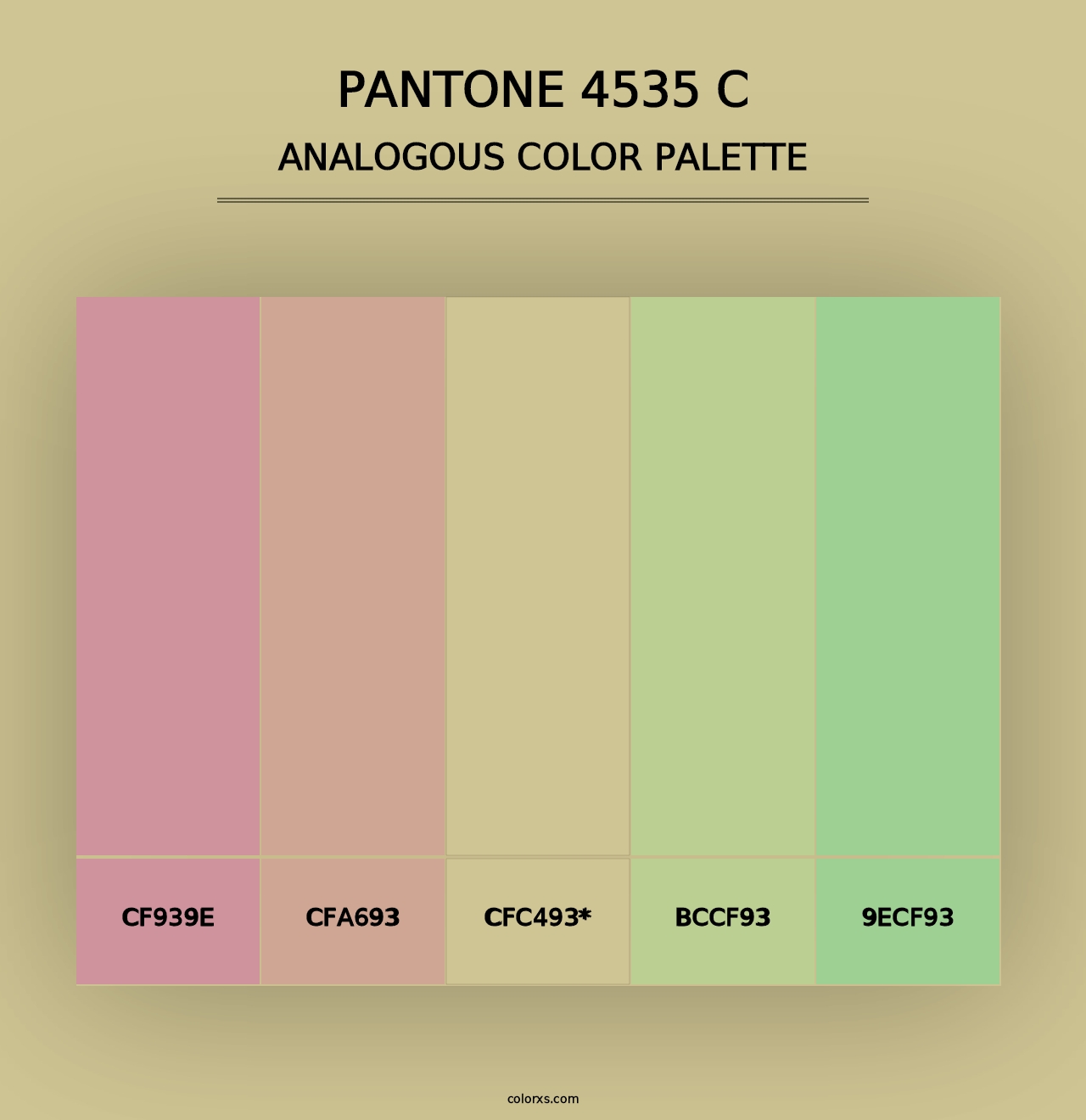 PANTONE 4535 C - Analogous Color Palette