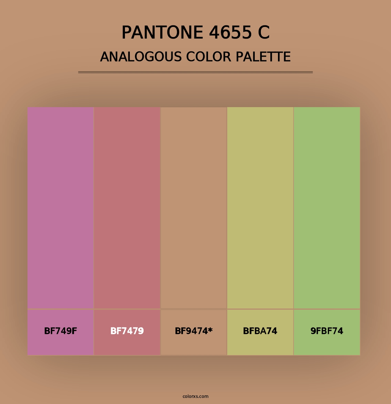 PANTONE 4655 C - Analogous Color Palette