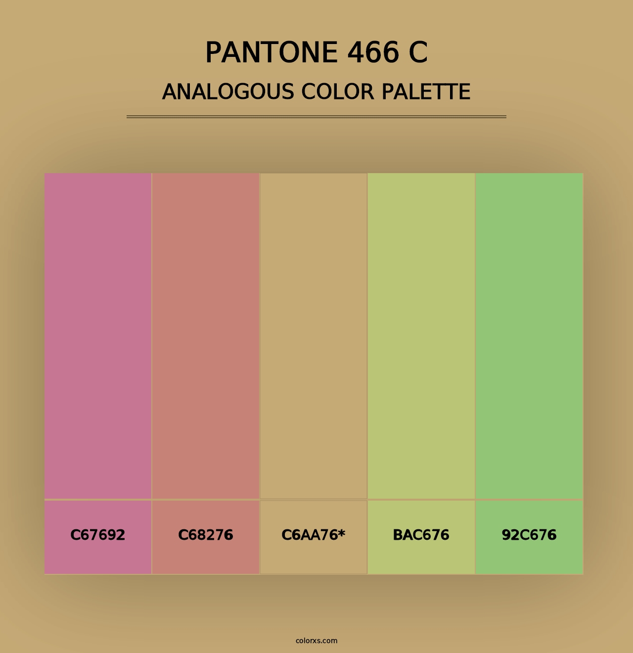 PANTONE 466 C - Analogous Color Palette