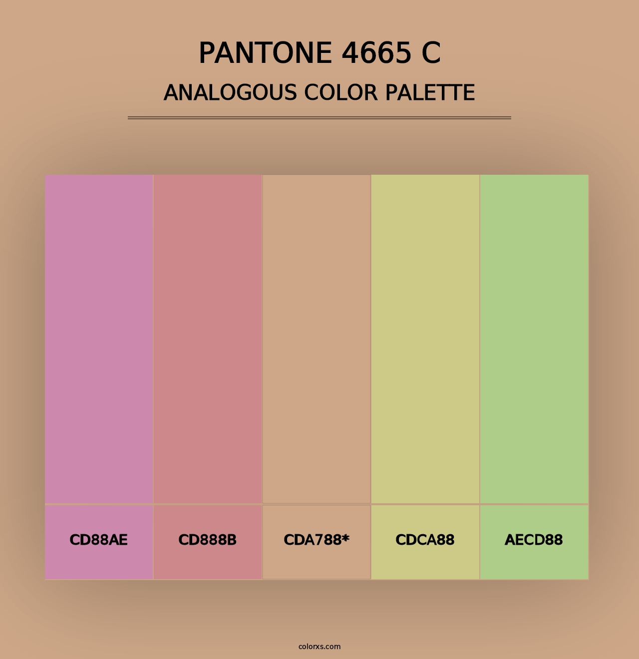 PANTONE 4665 C - Analogous Color Palette