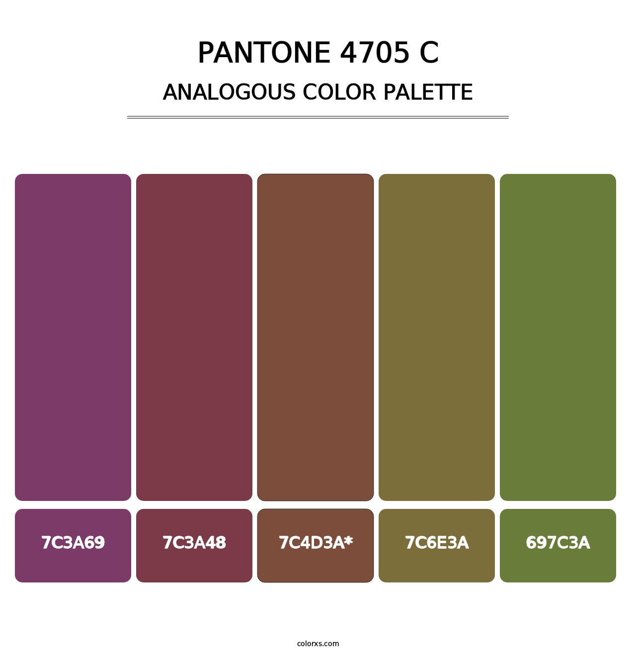 PANTONE 4705 C - Analogous Color Palette