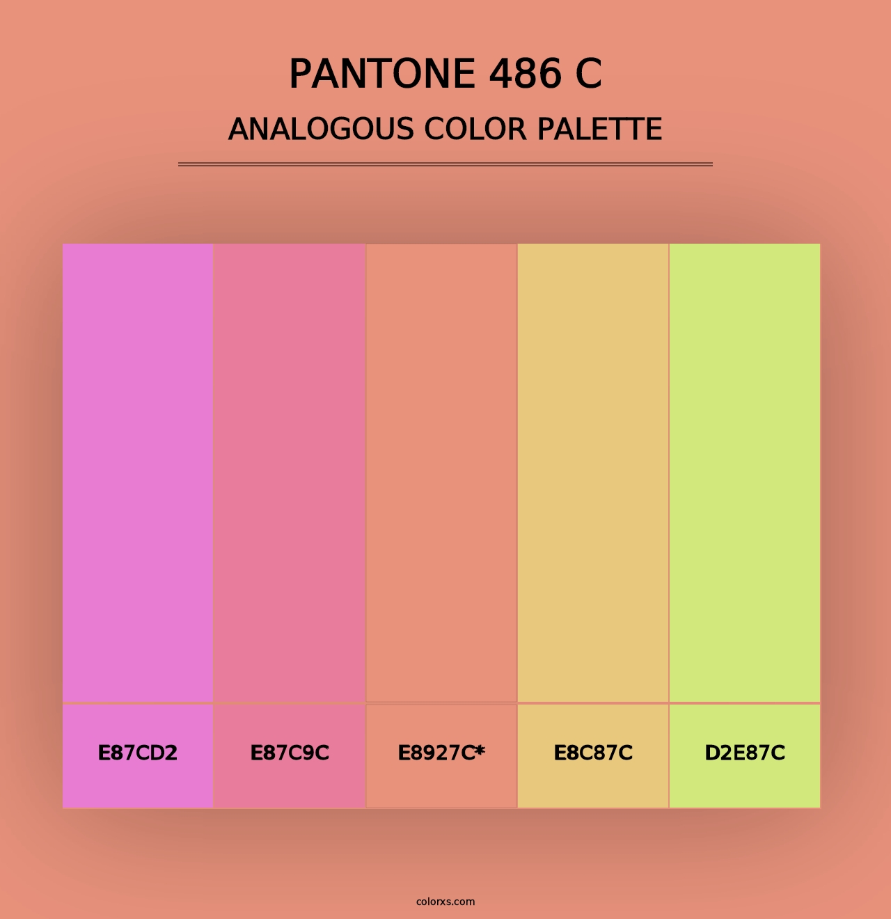 PANTONE 486 C - Analogous Color Palette