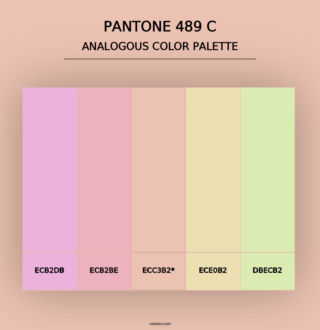 PANTONE 489 C - Analogous Color Palette