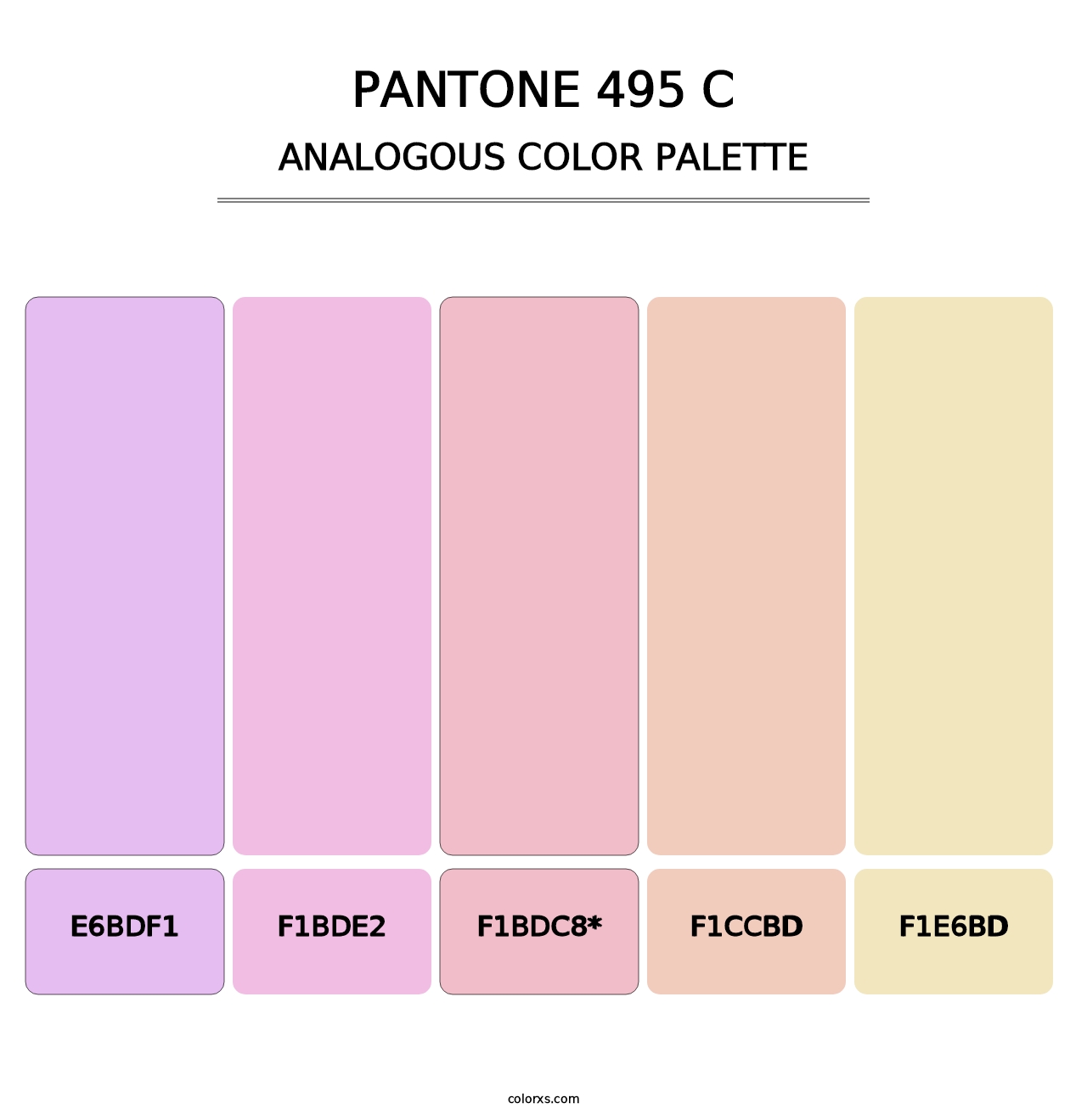 PANTONE 495 C - Analogous Color Palette